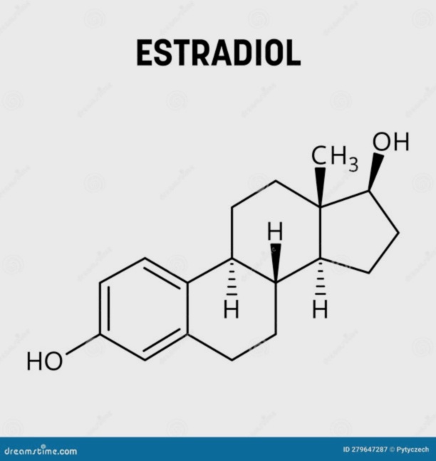 estradiol
