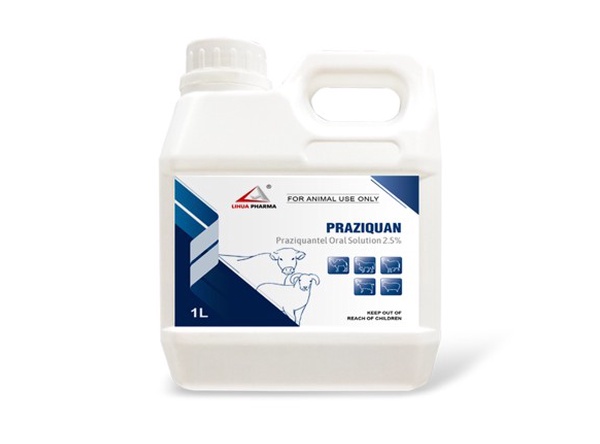 praziquantel