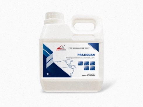 praziquantel